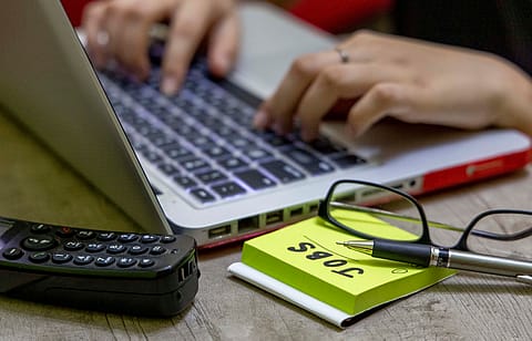 A bulk of the jobs lie in traditionally green industries such as EV and renewable energy.