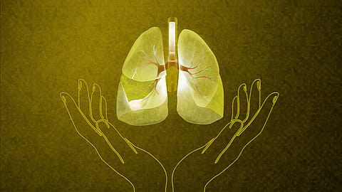 PathoDetect kit, combined with Mylab compact device platform, will fill the current gaps in TB testing, says the company.