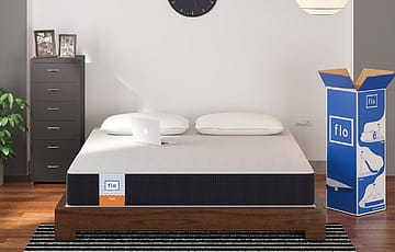 This mattress company that started with just 2.5 lacs stands to close the year at around 25 crores in revenue