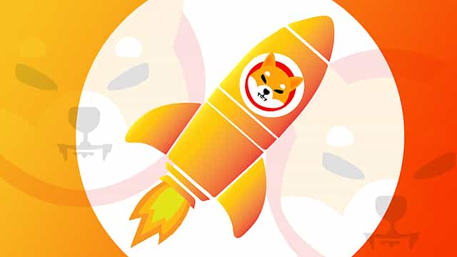 Dogecoin surges 30% after Elon Musk changes Twitter logo to Shiba Inu