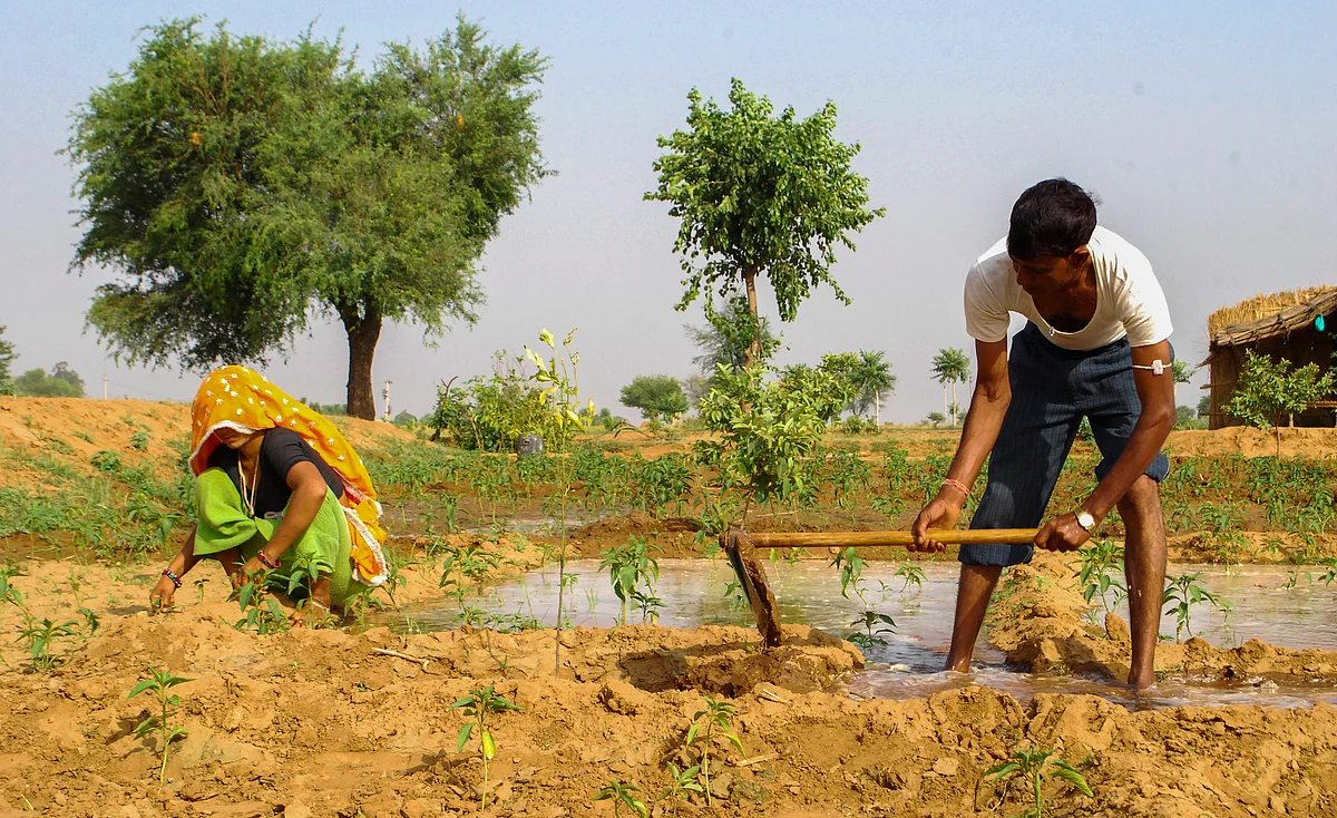 The report says that by placing green products such as bio-pesticides and micronutrient fertilisers at par with bio and organic fertilisers, their usage could be incentivised.