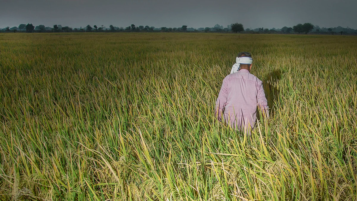 The MSP for paddy has increased from ₹1,360 per quintal in 2014-15 to ₹2,040 per quintal in 2022-23, says the Centre. 
