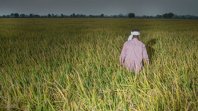 PM Modi rolls out ₹22,000 crore PM-KISAN boost for 9.8 crore farmers; here's how to apply, eligibility criteria, more