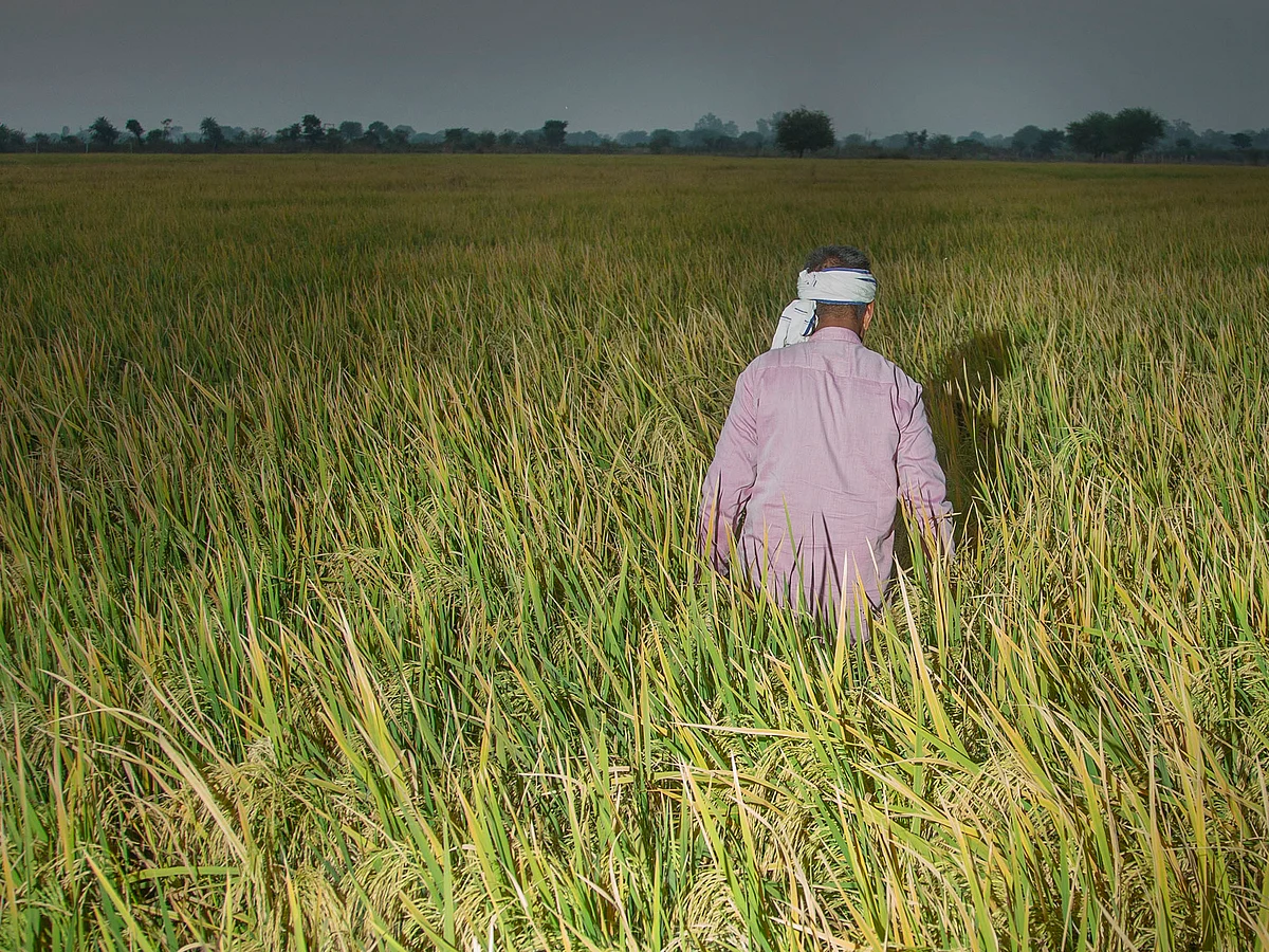 The government plans to set up 2 lakh warehouses for crops.