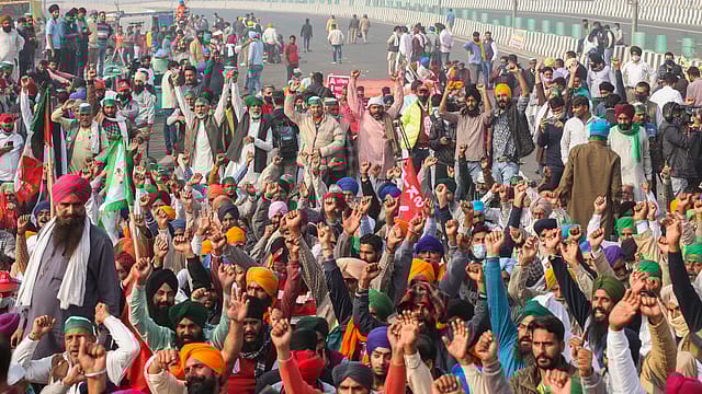 Farmers' protest: Govt proposes crop diversification; 5-year MSP for maize, pulses, cotton Farmers' protest: Govt proposes crop diversification; 5-year MSP for maize, pulses, cotton