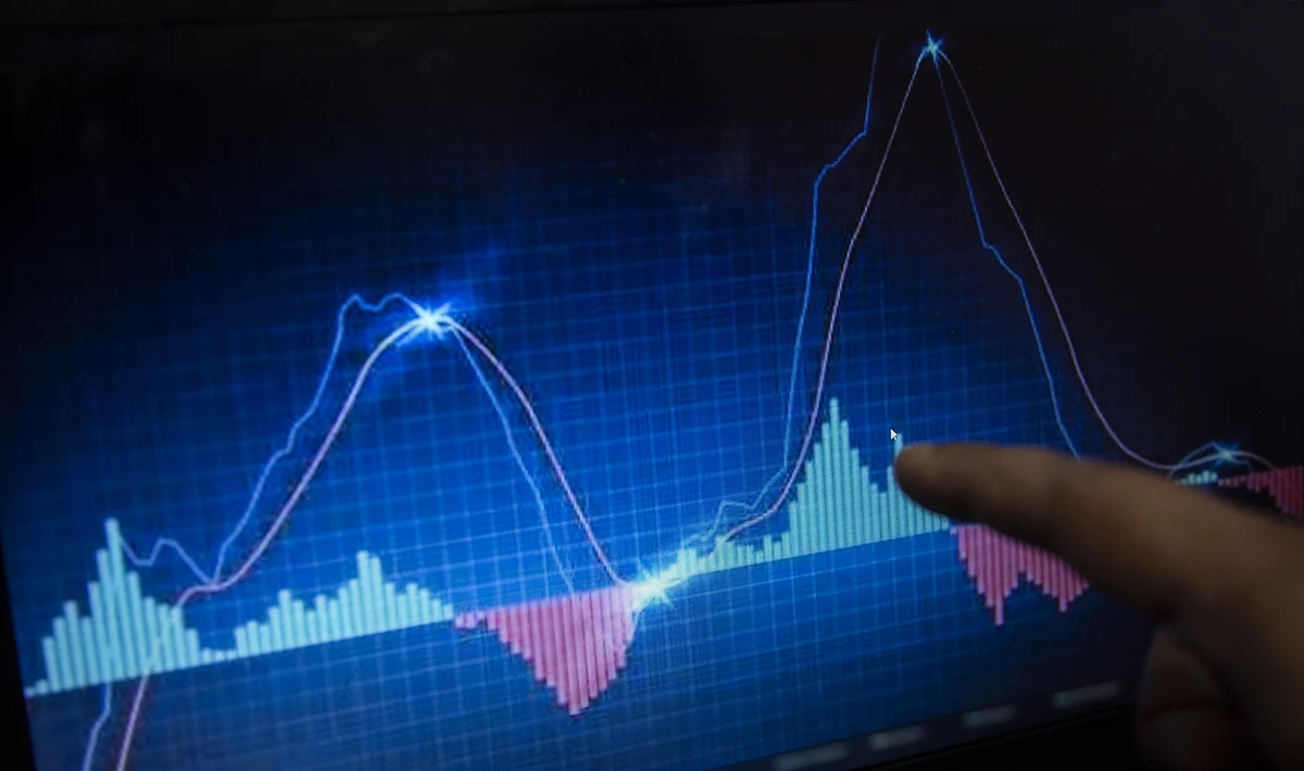 The BSE Sensex and the NSE Nifty ended higher on Monday.