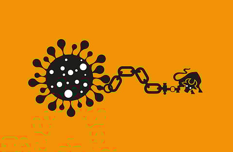 The BSE Sensex and the NSE Nifty fell over 2% each on Monday