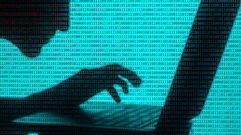 Only 44% of Indian respondents utilise data analytics to spot unusual bid patterns.