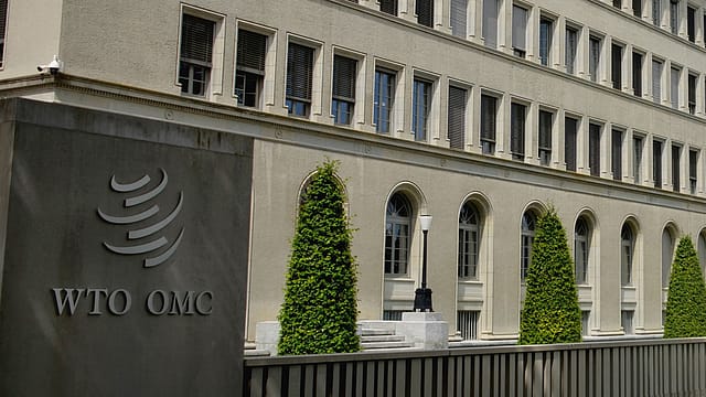 India to WTO: For food security, find permanent solution to public stockholding India to WTO: For food security, find permanent solution to public stockholding