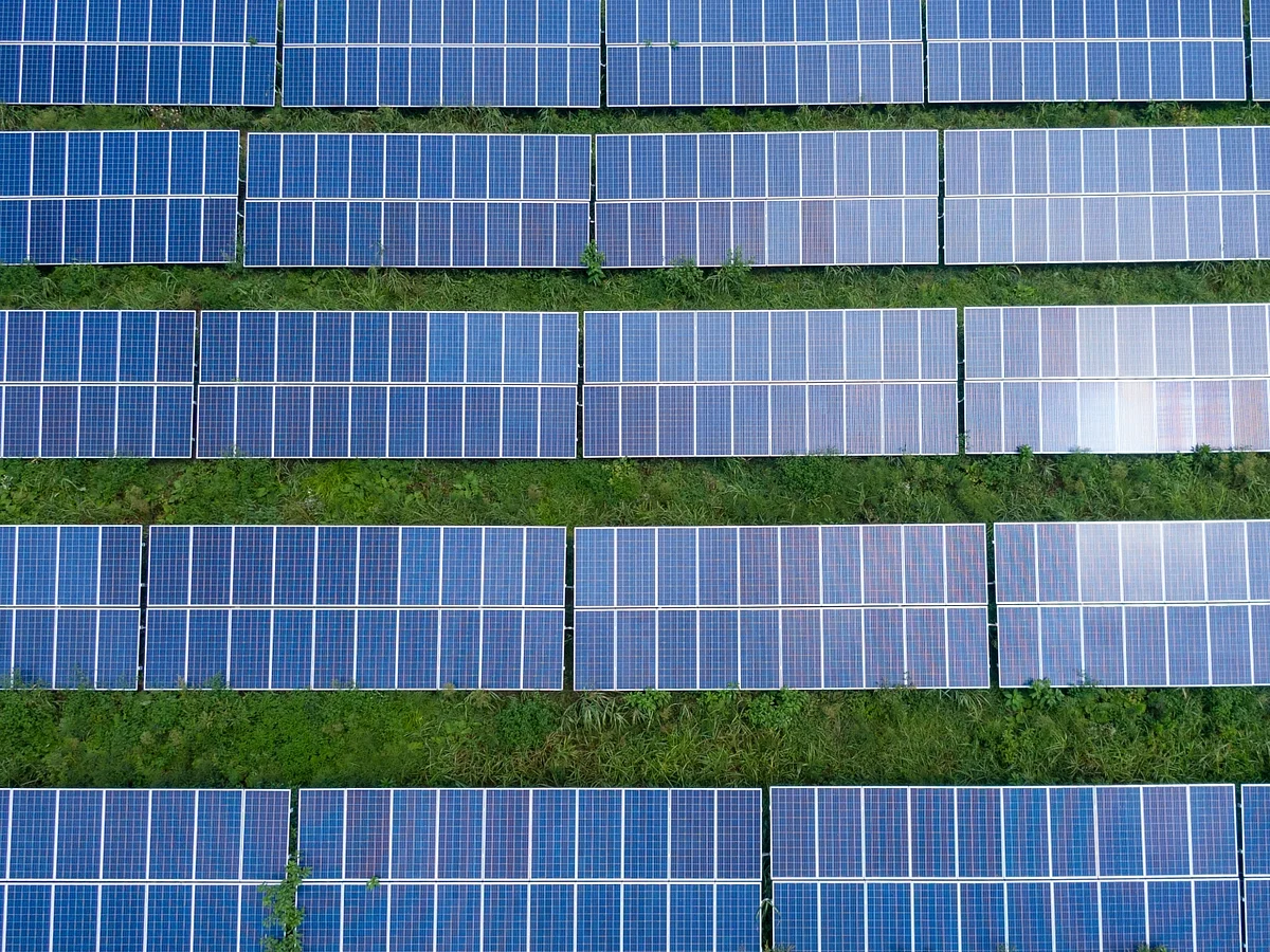 Waaree Renewable shares gain 14% to hit an intraday high of ₹1,170 on the BSE