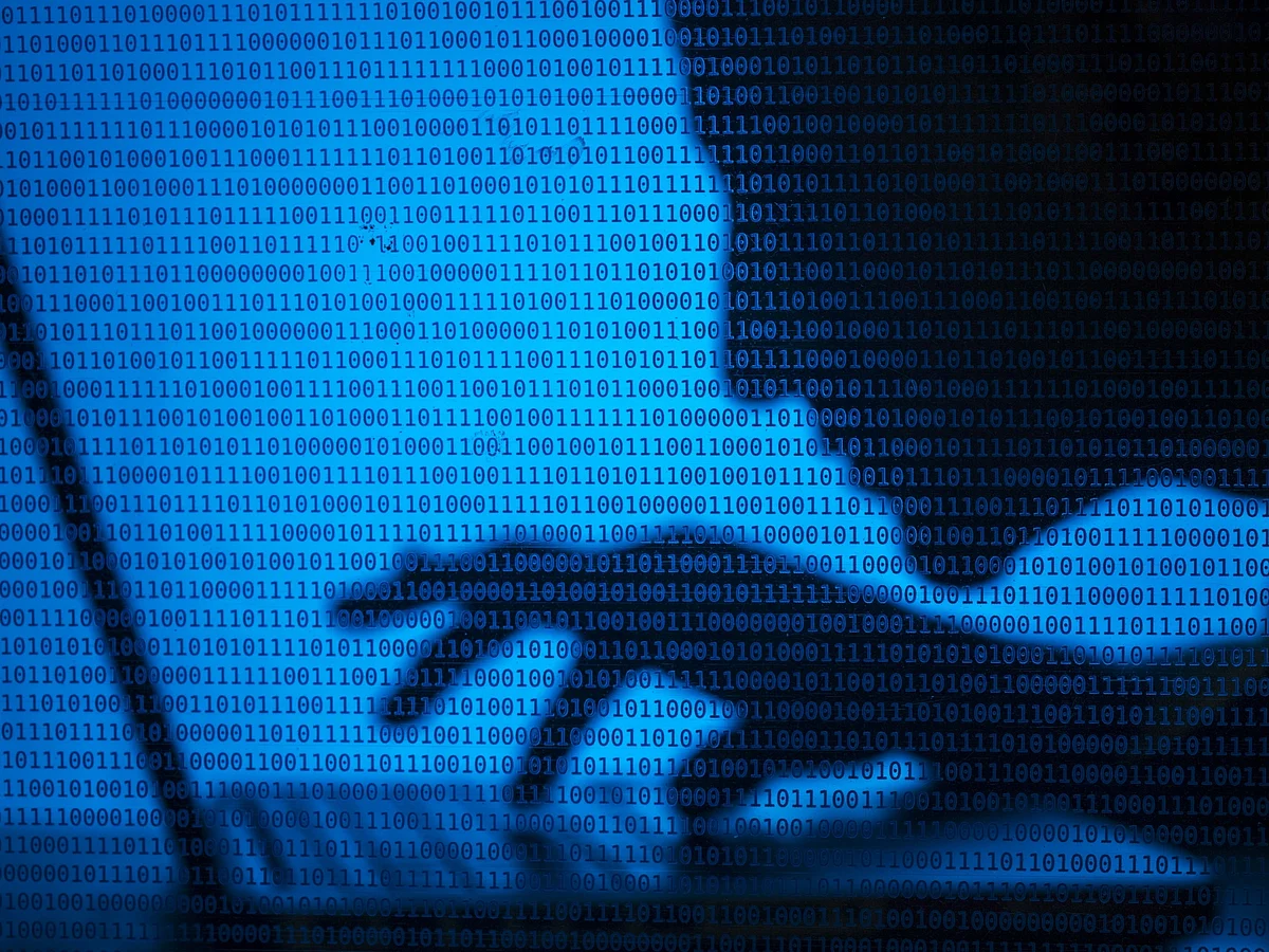Threat actors are willing to sell the entire dataset for $80,000. 