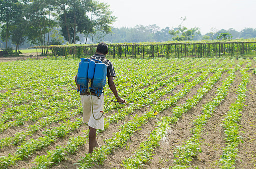 PLI scheme for agrochemicals soon