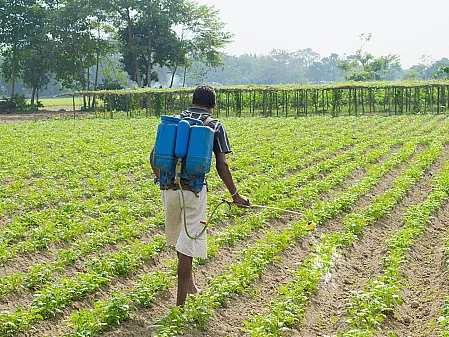 Once announced, agrochemicals will be the 15th sector that will be covered by the PLI scheme launched a year ago.