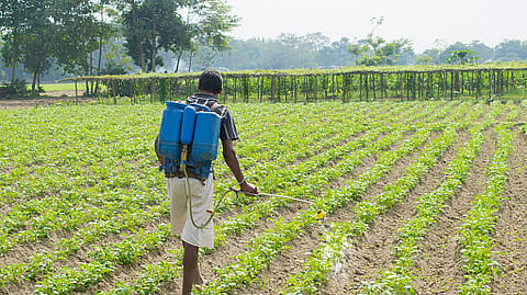 Once announced, agrochemicals will be the 15th sector that will be covered by the PLI scheme launched a year ago.