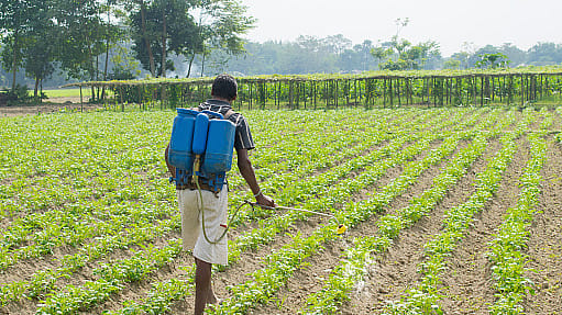 PLI scheme for agrochemicals soon PLI scheme for agrochemicals soon