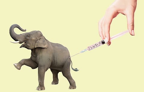 Photo illustration by Amit Sharma