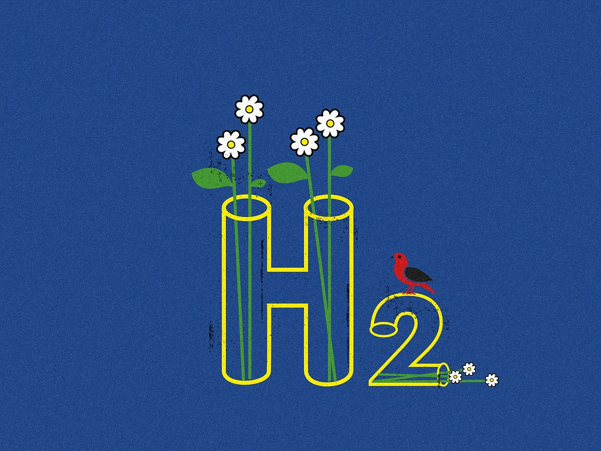 India is looking at environment friendly hydrogen and ammonia to replace fossil fuels in future.
