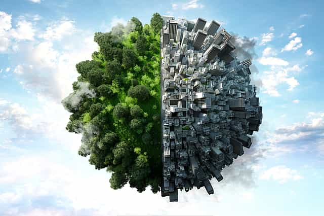 82% frustrated, fed up with lack of progress by firms on sustainability: Oracle