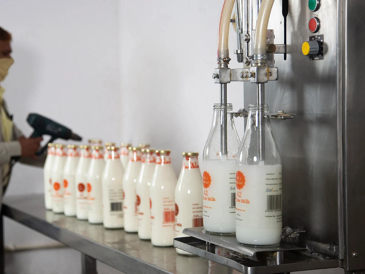 Milk production yields in the first half of FY23 were hampered by the prevalence of the Lumpy Skin Disease.