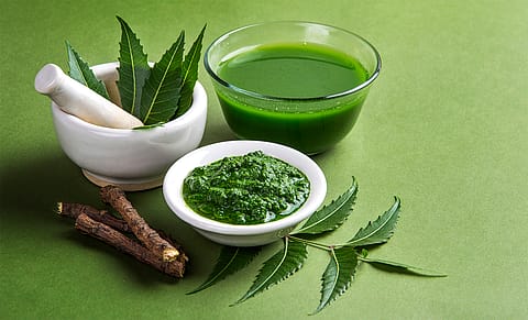 WHO to set up global centre for traditional medicine in Gujarat