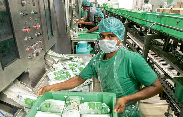 The Dairy Disruptors