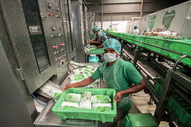 Milk production in India may reach 300 million tonnes by 2030