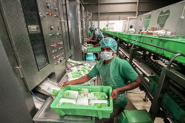 Milk production in India may reach 300 million tonnes by 2030