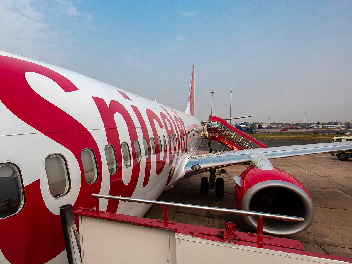 The no-frills airline has witnessed a consistent drop in its market share over the past few months.