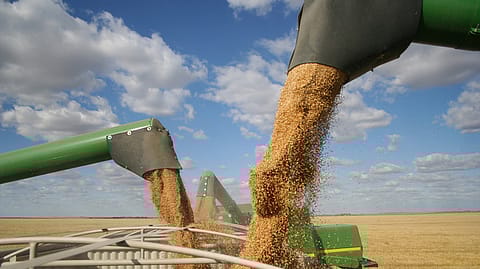 The ban will have an impact on India's overall export performance.