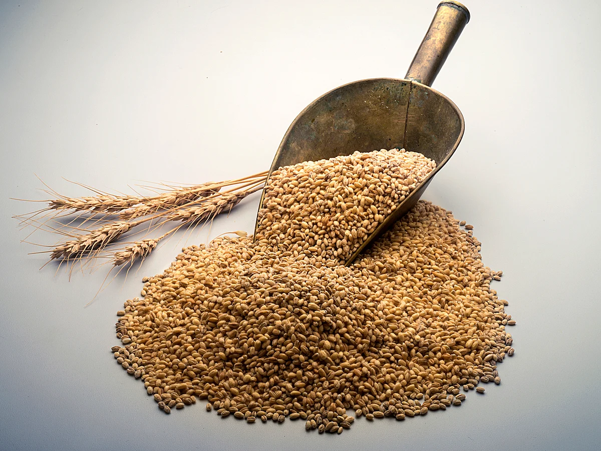 The government also allowed a wheat shipment headed for Egypt.