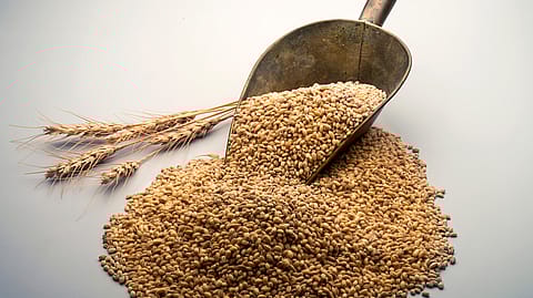 The government also allowed a wheat shipment headed for Egypt.