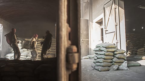 Ambuja Cement rallied 3.6% to ₹397.55 in intraday trade on the BSE on Wednesday