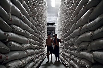 Cement stocks retreat from intraday highs; Realty joins decline