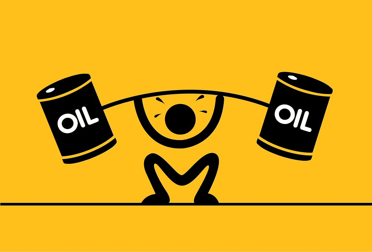 Halting Russian oil imports will jack up international crude prices: Govt