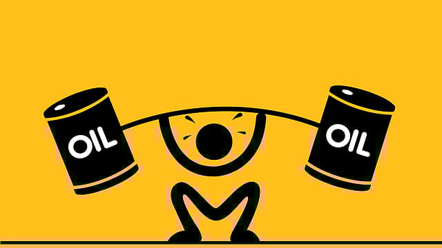 Halting Russian oil imports will jack up international crude prices: Govt Halting Russian oil imports will jack up international crude prices: Govt