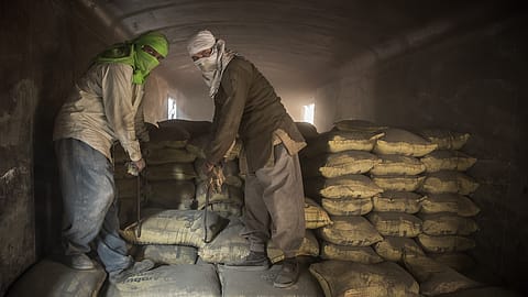 Sequentially, the profit of ACC Ltd grew 97.8% as against ₹235.66 crore in the Q4 of FY24.