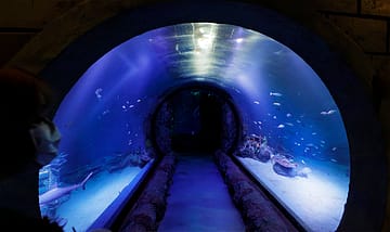 An Indo-Lanka tunnel to integrate island to BIMSTEC
