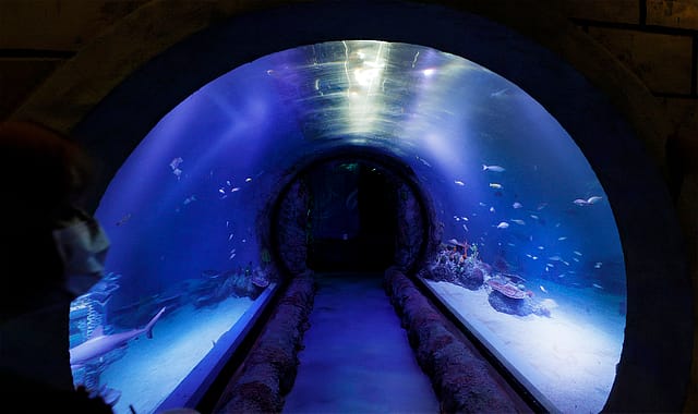An Indo-Lanka tunnel to integrate island to BIMSTEC
