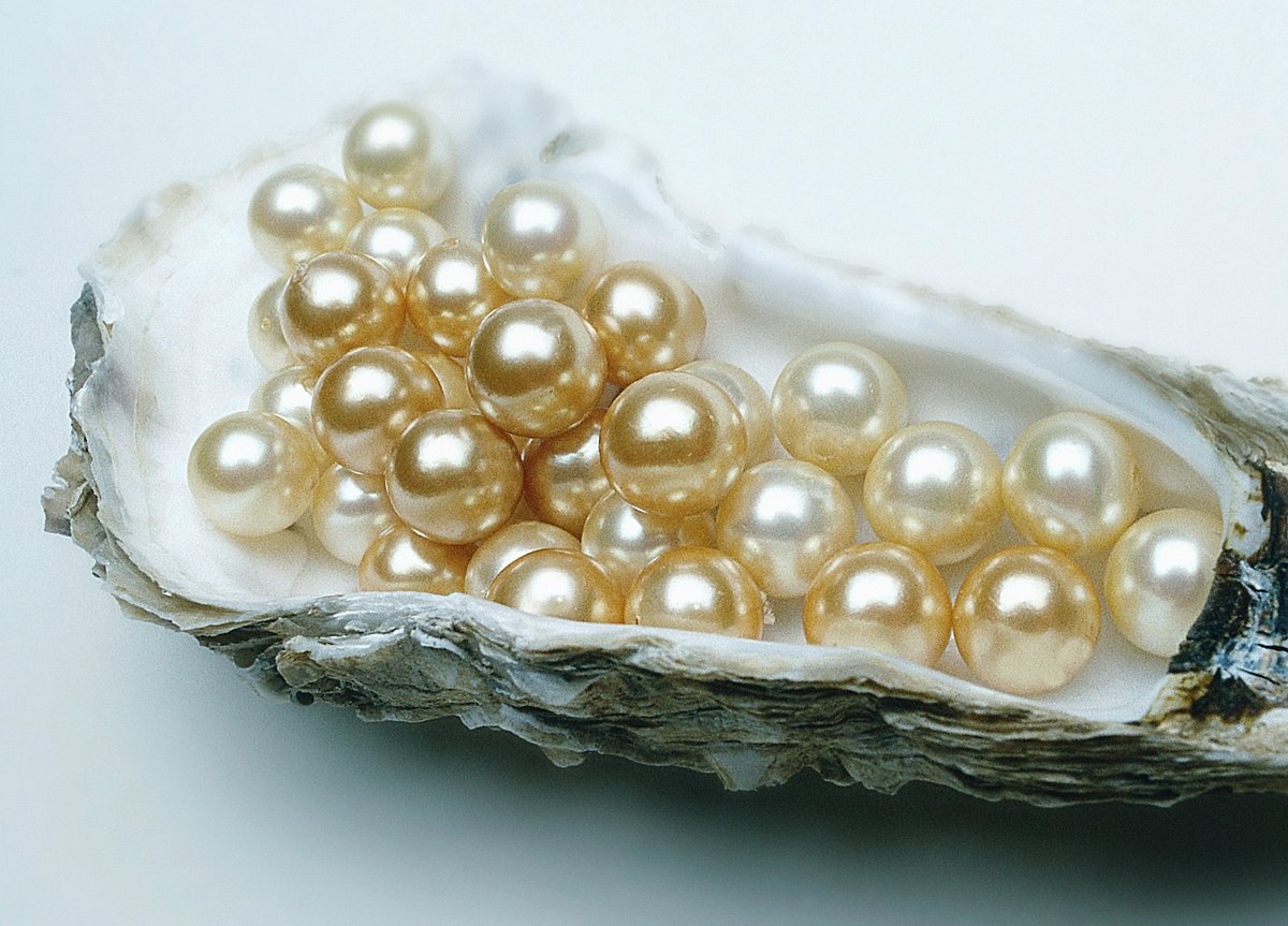 India imports more pearl than the world produces; CAG flags tax evasion risk