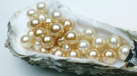 India's pearl imports primarily came from the UAE, Hong Kong and Thailand, whose contribution in global pearl production was negligible.