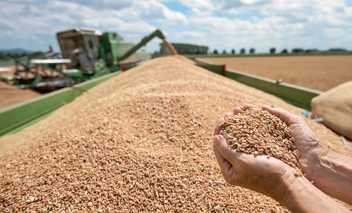 Can India Be a Global Food Bowl?