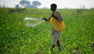 West Asia conflict sparks 60% gas price hike for fertiliser plants