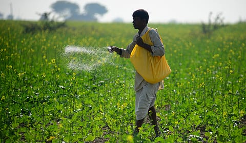 India is working towards long-term MOUs for potash and other fertilisers with countries like Russia, Israel and others.