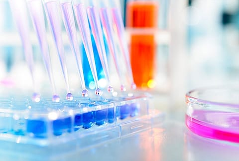 The company hit a 52-week low of ₹922.55 on May 22, this year.