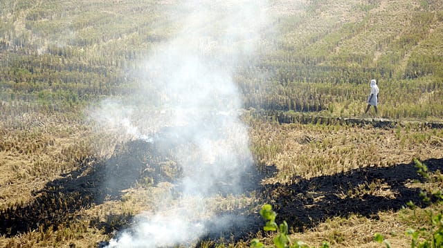Stubble burning: Centre to offer financial help for torrefaction, pelletisation plants Stubble burning: Centre to offer financial help for torrefaction, pelletisation plants