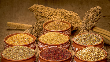Mission Millets