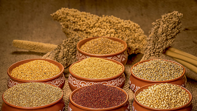 Mission Millets