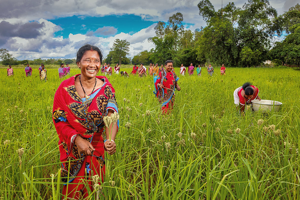 Odisha's Women Milletpreneurs