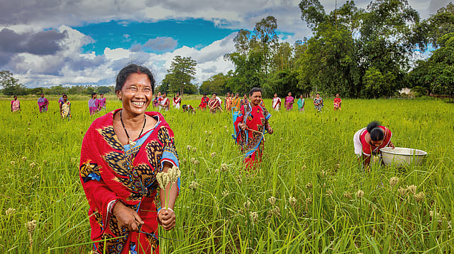 Odisha's Women Milletpreneurs Odisha's Women Milletpreneurs