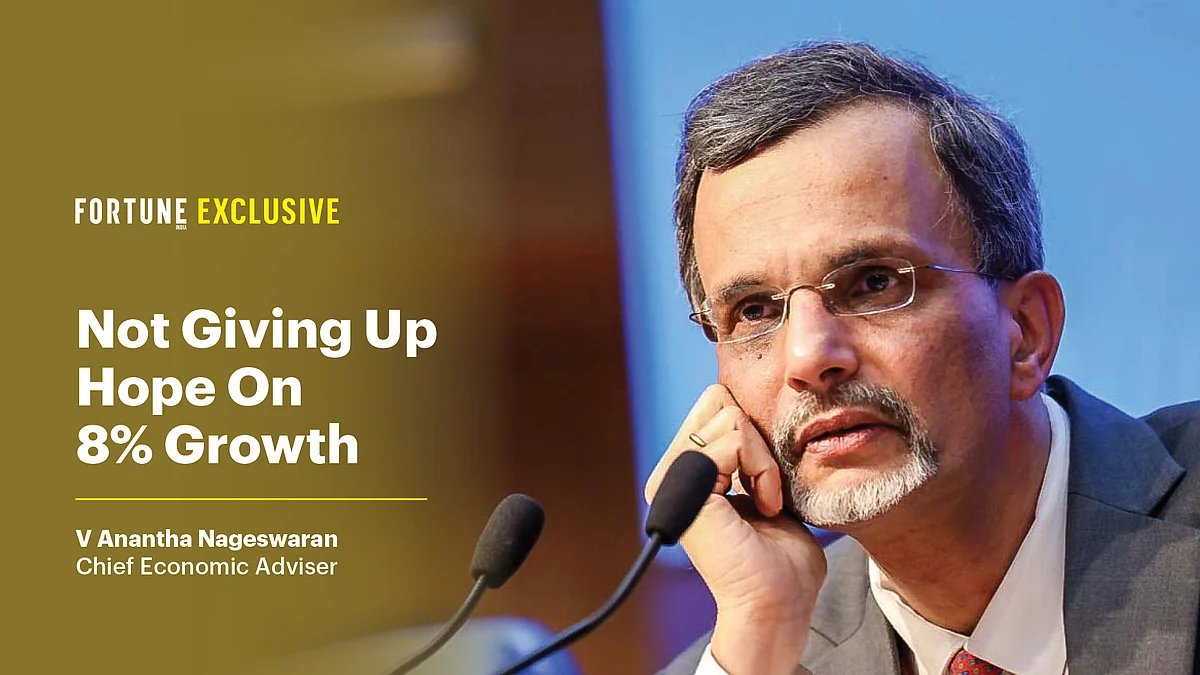 V. Anantha Nageswaran, the Chief Economic Advisor to the Government of India. 